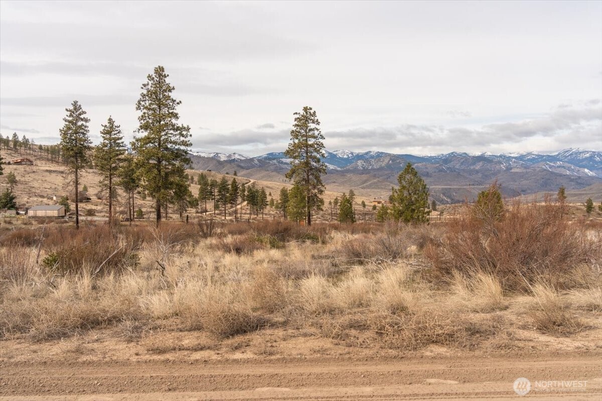 817 Bill Shaw Road Pateros, WA 98846 - Photo 12 of 28 a view of a lake view