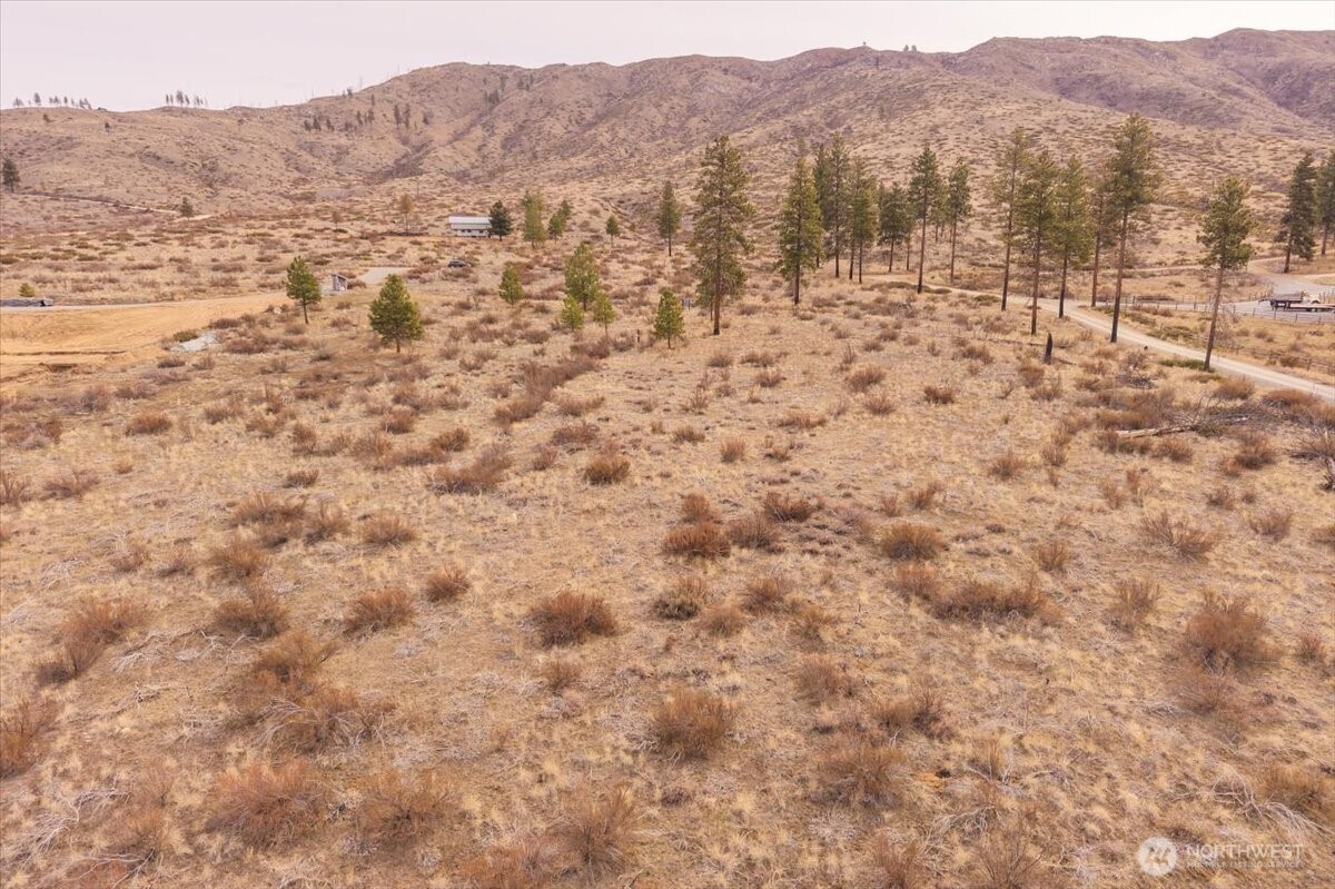 817 Bill Shaw Road Pateros, WA 98846 - Photo 20 of 28 a view of a dry yard with mountains in the background