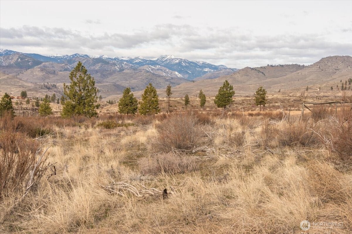 817 Bill Shaw Road Pateros, WA 98846 - Photo 2 of 28 a view of a city with mountains in the background