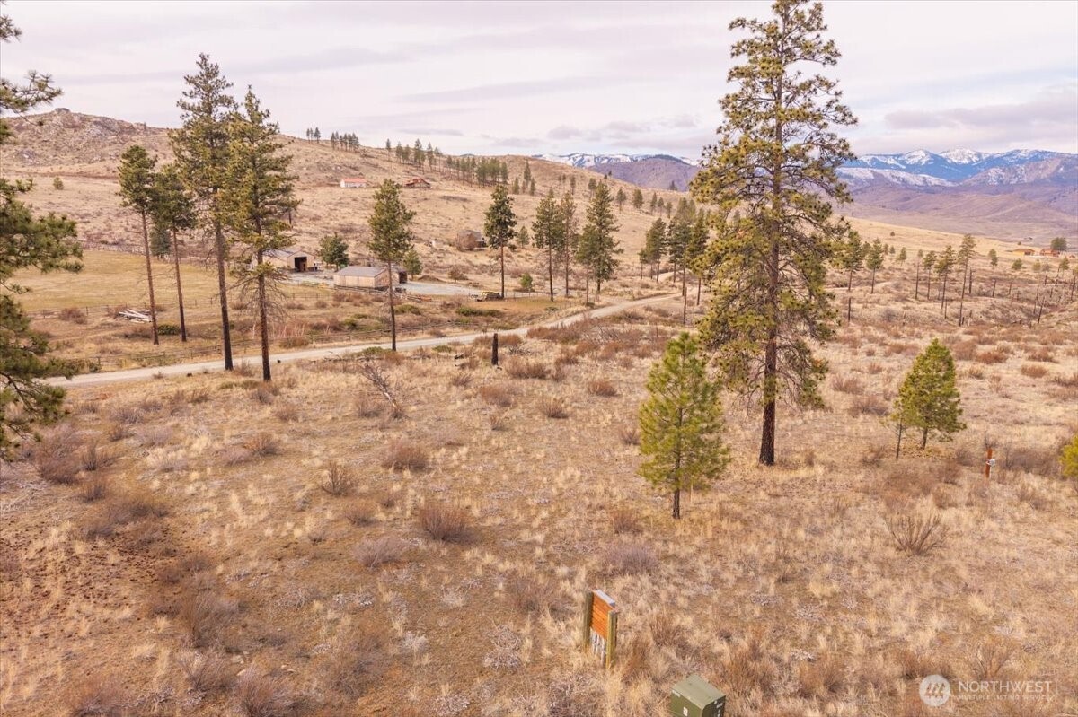 817 Bill Shaw Road Pateros, WA 98846 - Photo 21 of 28 a view of a city with mountain view