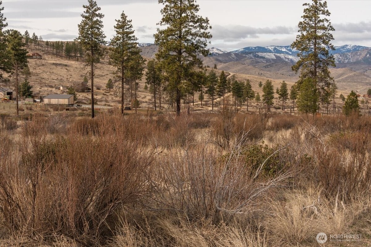 817 Bill Shaw Road Pateros, WA 98846 - Photo 5 of 28 a view of mountain view with lots of trees