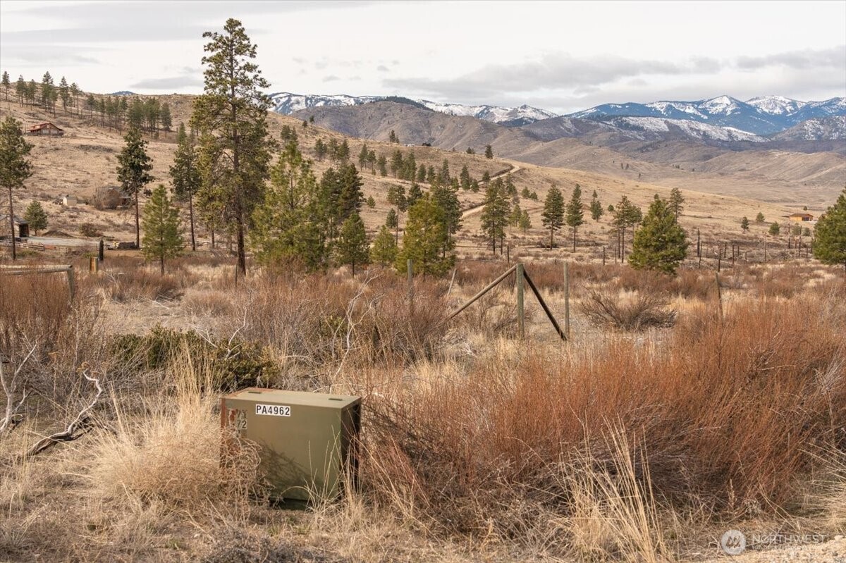 817 Bill Shaw Road Pateros, WA 98846 - Photo 6 of 28 a view of a city with mountains in the background