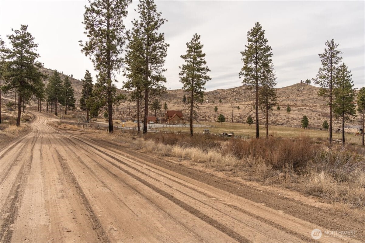 817 Bill Shaw Road Pateros, WA 98846 - Photo 7 of 28 a view of a yard next to a road