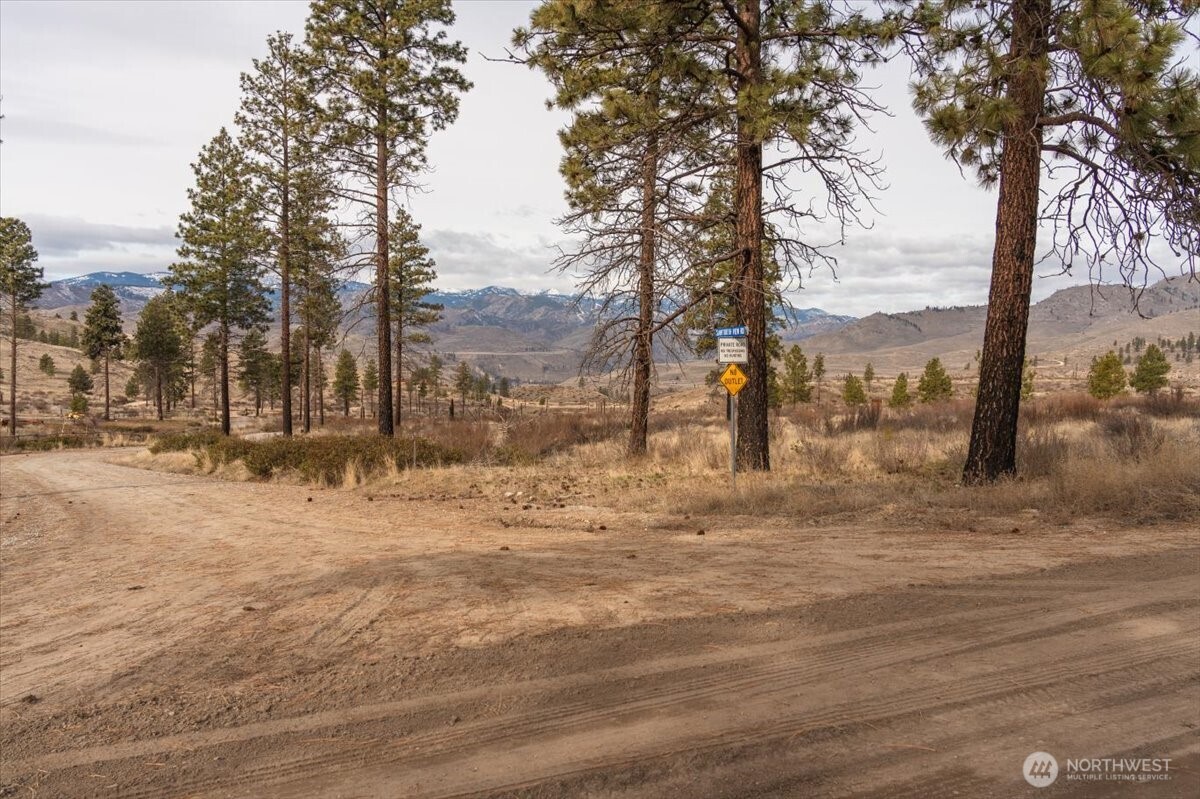817 Bill Shaw Road Pateros, WA 98846 - Photo 8 of 28 a street view with large trees