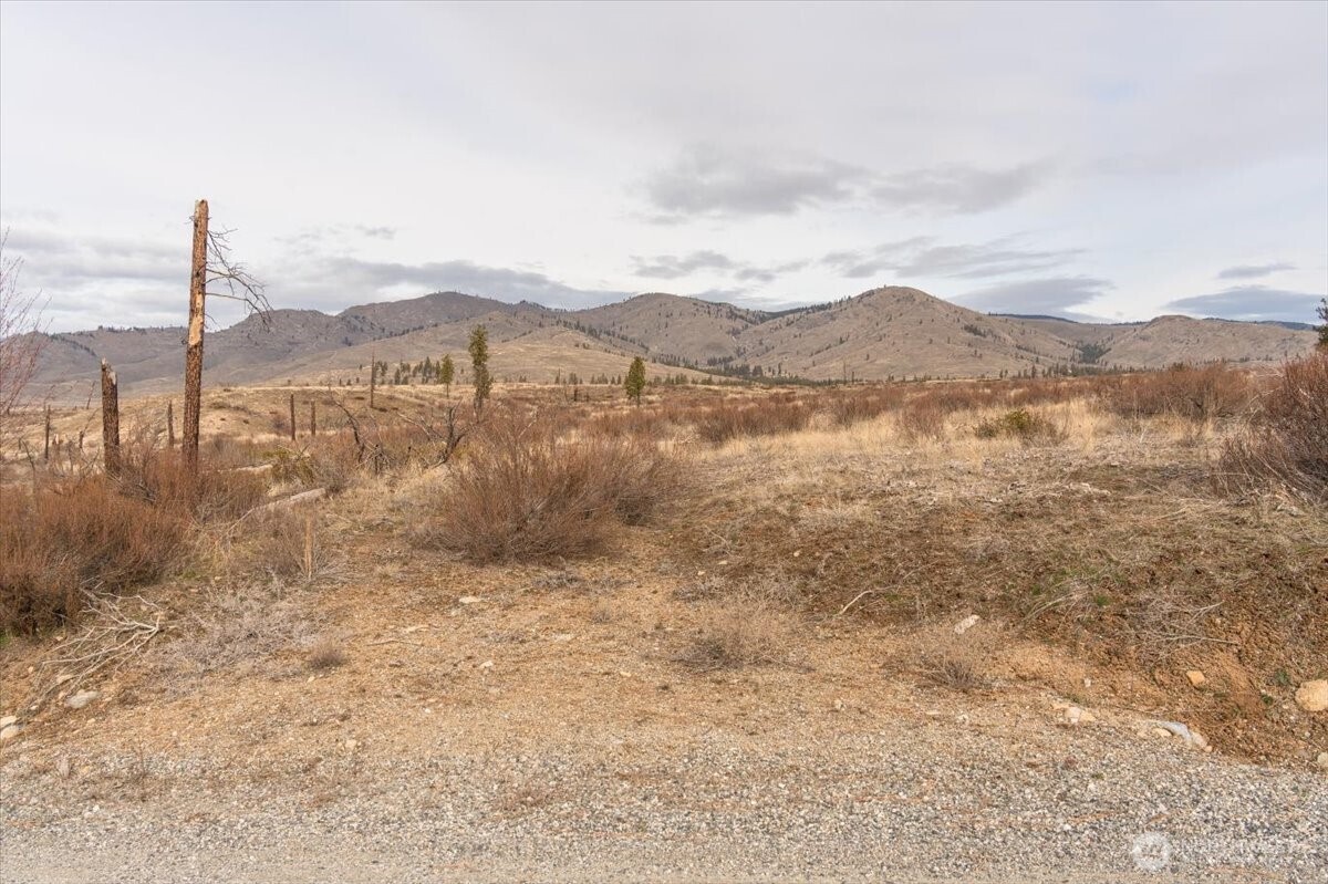 817 Bill Shaw Road Pateros, WA 98846 - Photo 9 of 28 a view of lake with mountain