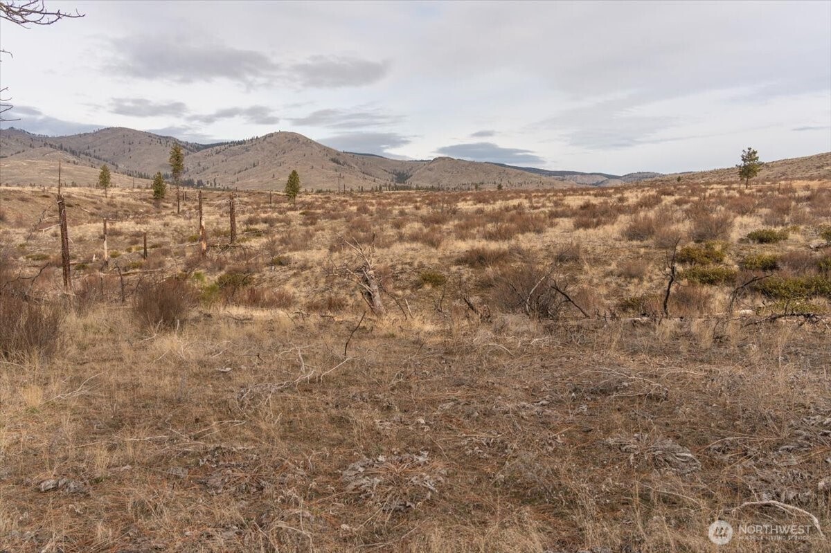 817 Bill Shaw Road Pateros, WA 98846 - Photo 10 of 28 a view of city and mountain