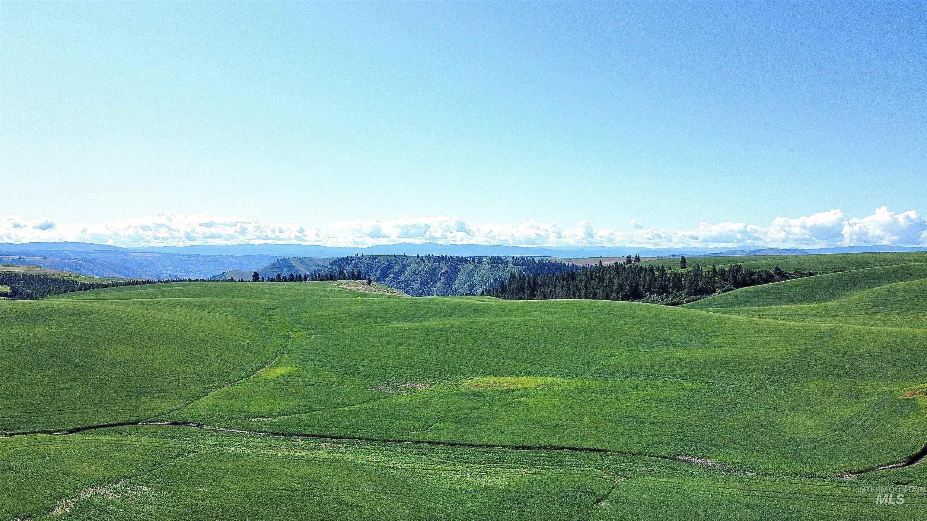 Tbd Basket Road Nezperce, ID 83543 - Photo 11 of 13