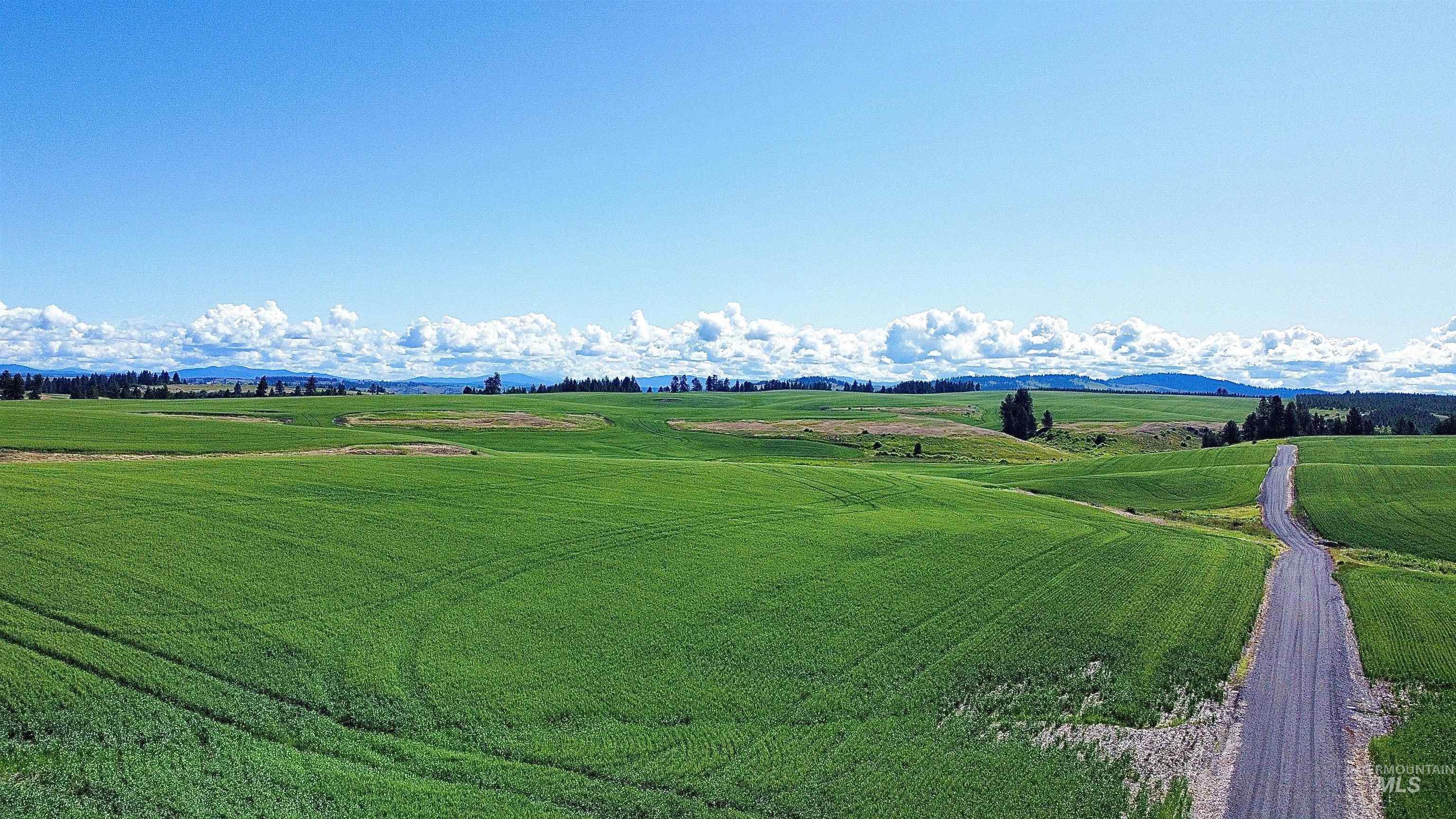 Tbd Basket Road Nezperce, ID 83543 - Photo 12 of 13