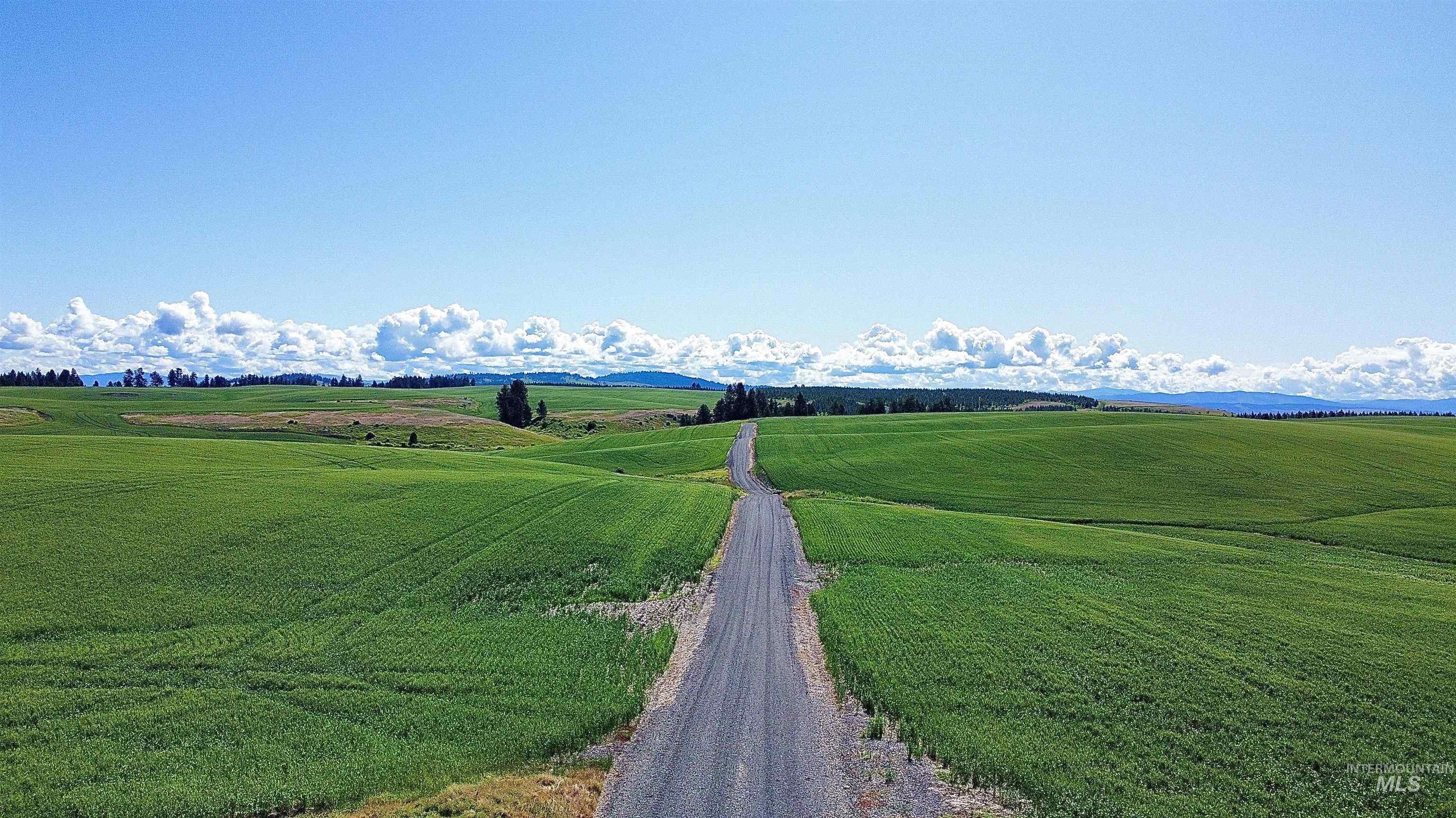 Tbd Basket Road Nezperce, ID 83543 - Photo 3 of 13