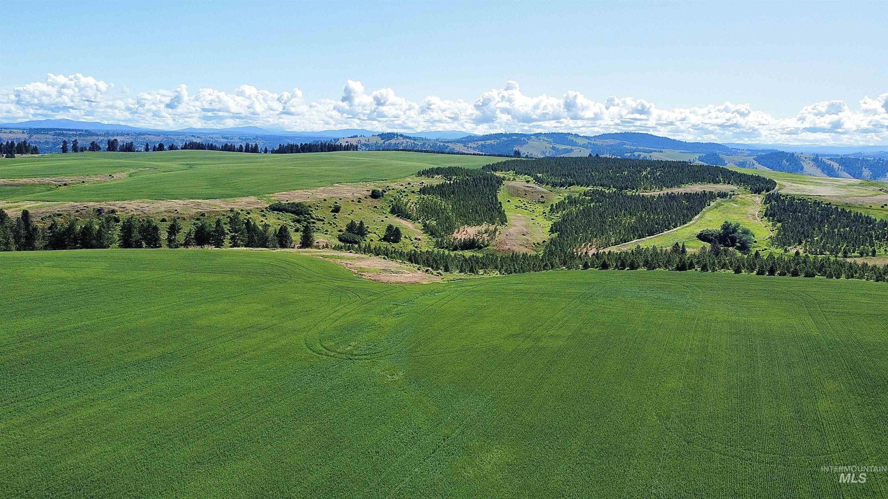 Tbd Basket Road Nezperce, ID 83543 - Photo 4 of 13