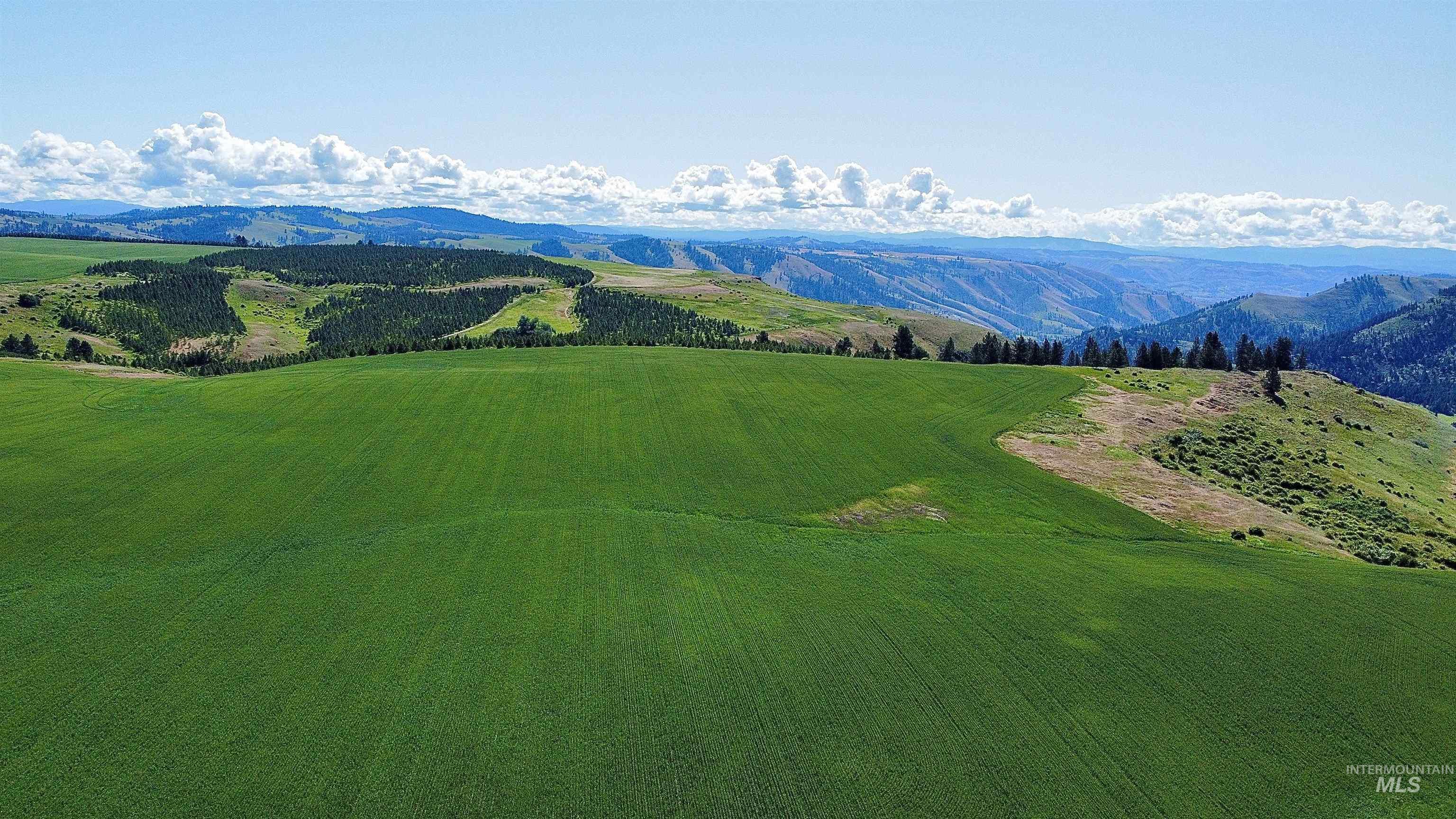 Tbd Basket Road Nezperce, ID 83543 - Photo 5 of 13