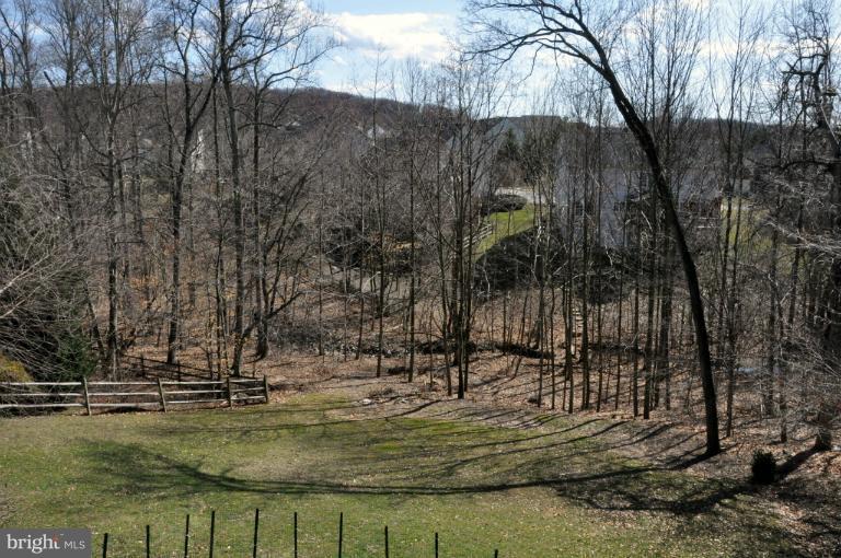 6425 Spring Forest Road Frederick, MD 21701 - Photo 3 of 30 View of backyard w/ wooded area behind