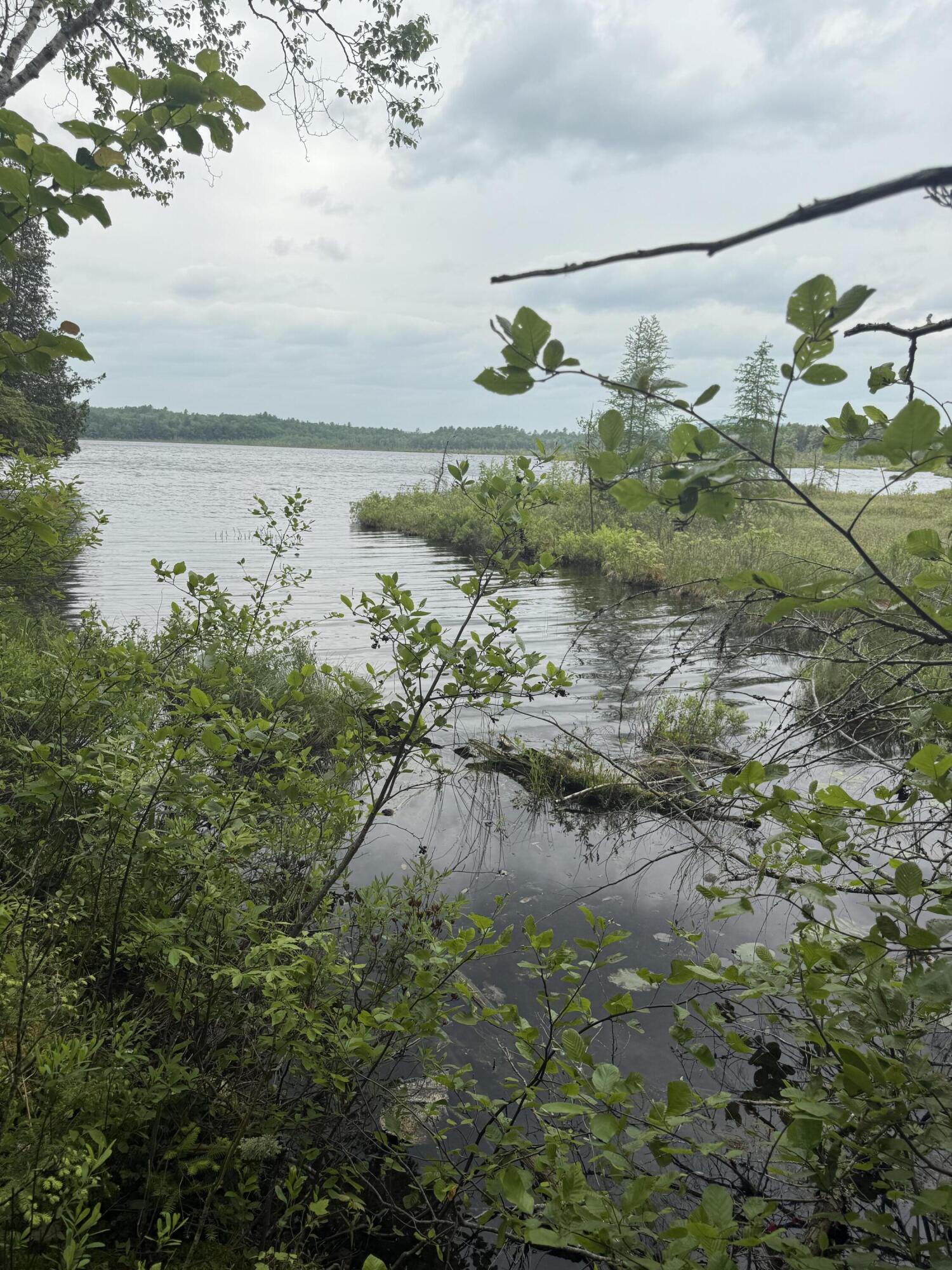 47-025 Cardinal Drive Embden, ME 04958 - Photo 15 of 55 23