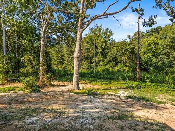 1301 East 9th Street Mount Pleasant, TX 75455 - Photo 25 of 26 a view of a yard with a tree