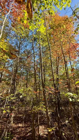 $105,125 | 0 Owl Hollow Road, Unit LOT6, Palmer, TN 37365