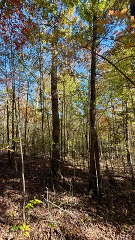 $105,125 | 0 Owl Hollow Road, Unit LOT6, Palmer, TN 37365