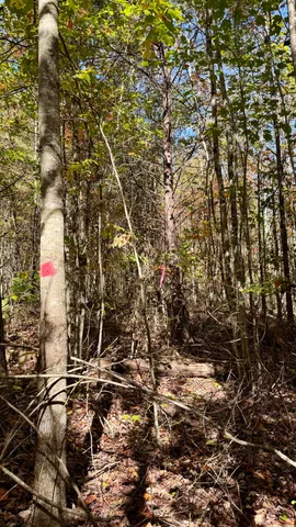 $105,125 | 0 Owl Hollow Road, Unit LOT6, Palmer, TN 37365