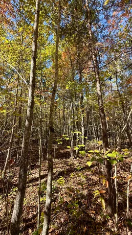 $105,125 | 0 Owl Hollow Road, Unit LOT6, Palmer, TN 37365