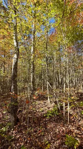 $105,125 | 0 Owl Hollow Road, Unit LOT6, Palmer, TN 37365