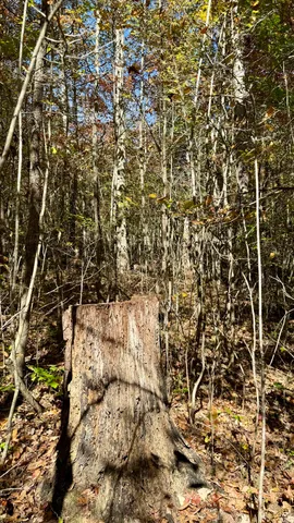 $105,125 | 0 Owl Hollow Road, Unit LOT6, Palmer, TN 37365