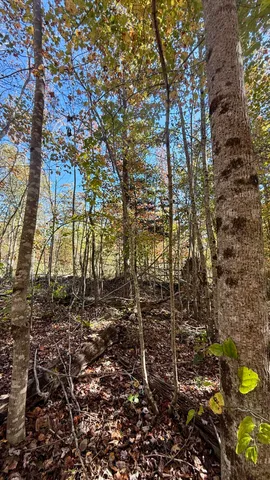 $105,125 | 0 Owl Hollow Road, Unit LOT6, Palmer, TN 37365