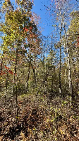 $105,125 | 0 Owl Hollow Road, Unit LOT6, Palmer, TN 37365