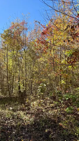 $105,125 | 0 Owl Hollow Road, Unit LOT6, Palmer, TN 37365