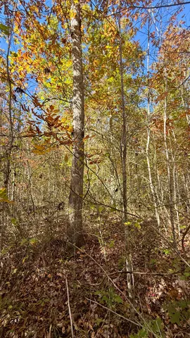 $105,125 | 0 Owl Hollow Road, Unit LOT6, Palmer, TN 37365