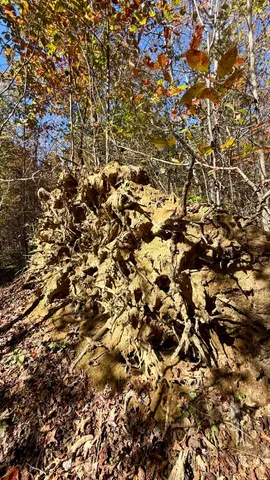 $105,125 | 0 Owl Hollow Road, Unit LOT6, Palmer, TN 37365