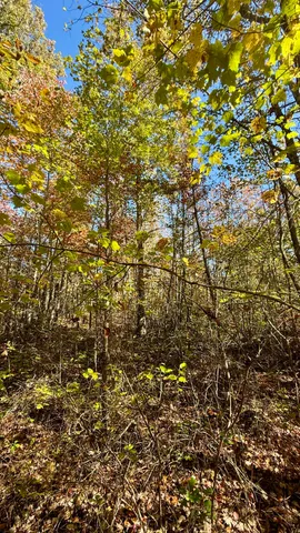 $105,125 | 0 Owl Hollow Road, Unit LOT6, Palmer, TN 37365