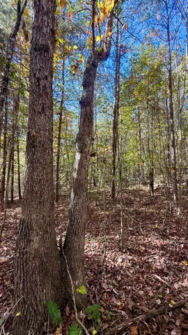 $105,125 | 0 Owl Hollow Road, Unit LOT6, Palmer, TN 37365