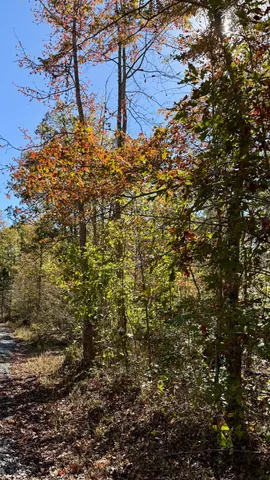 $105,125 | 0 Owl Hollow Road, Unit LOT6, Palmer, TN 37365