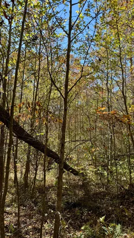 $105,125 | 0 Owl Hollow Road, Unit LOT6, Palmer, TN 37365