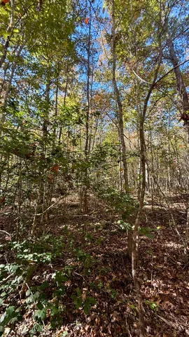$105,125 | 0 Owl Hollow Road, Unit LOT6, Palmer, TN 37365