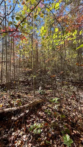 $105,125 | 0 Owl Hollow Road, Unit LOT6, Palmer, TN 37365