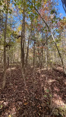 $105,125 | 0 Owl Hollow Road, Unit LOT6, Palmer, TN 37365