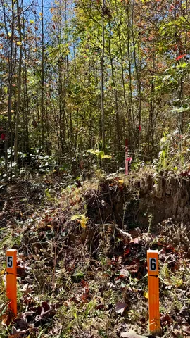 $105,125 | 0 Owl Hollow Road, Unit LOT6, Palmer, TN 37365