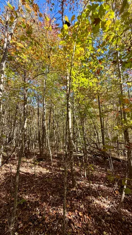 $105,125 | 0 Owl Hollow Road, Unit LOT6, Palmer, TN 37365