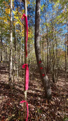 $105,125 | 0 Owl Hollow Road, Unit LOT6, Palmer, TN 37365