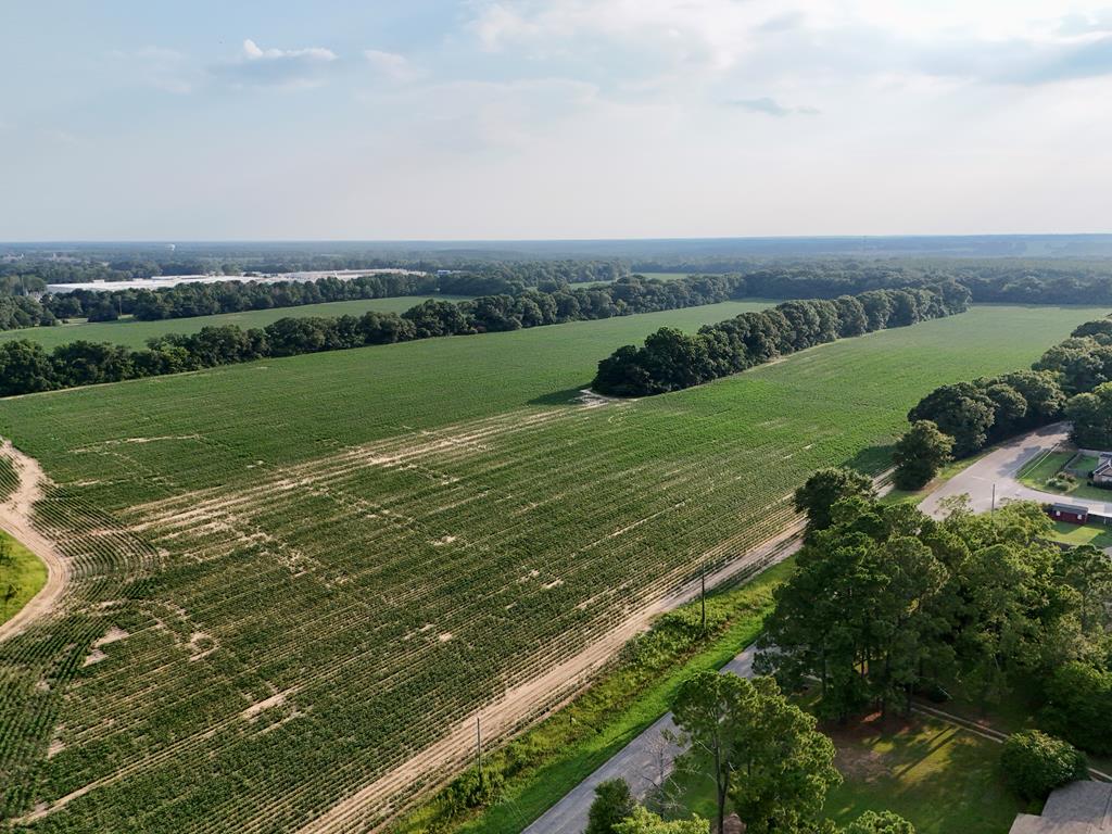 25 & Barrington Road Midland City, AL 36350 - Photo 10 of 21