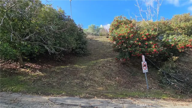 a flag is sitting in the middle of forest