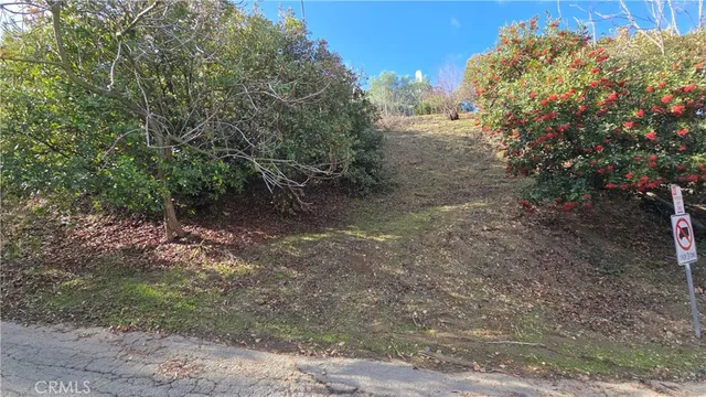 a view of a yard with a tree