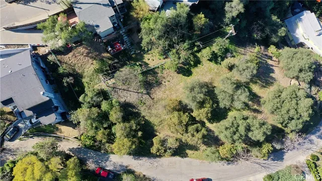 a view of a garden with plants