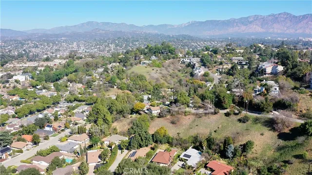 an aerial view of a forest with mountains