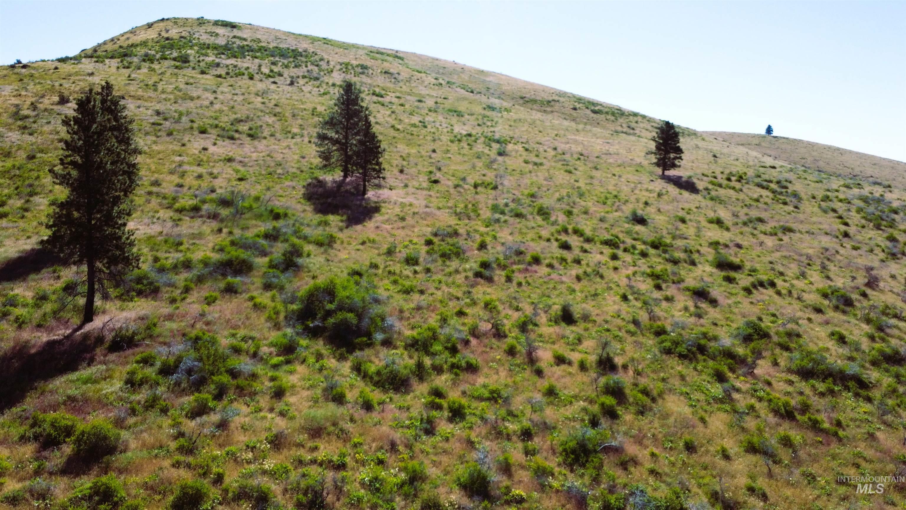 Tbd Advent Gulch Road Cambridge, ID 83610 - Photo 9 of 24