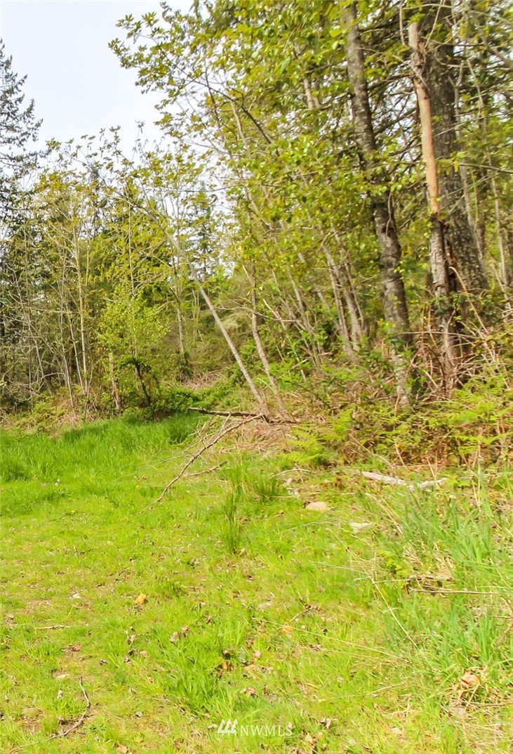 24815 Fisk Road East Orting, WA 98360 - Photo 2 of 4
