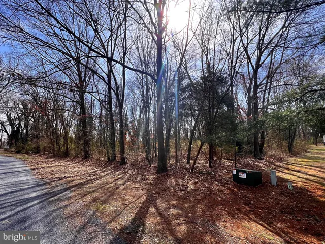 a view of a backyard of a house