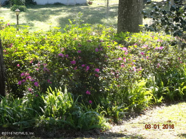 10559 Lake View Road East Jacksonville, FL 32225 - Photo 41 of 43 Front Yard