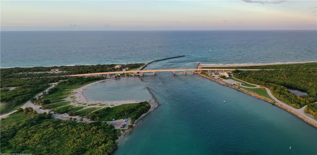 a view of kitchen with a white wall and a potted plant