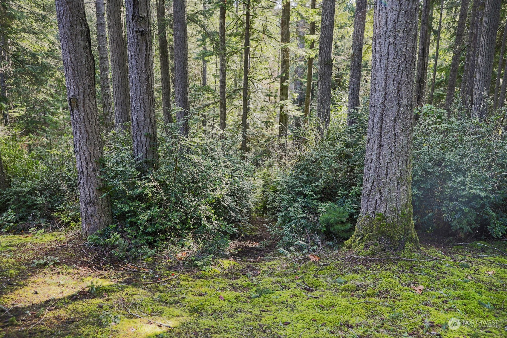 12677 Olympic View Road Northwest Silverdale, WA 98383 - Photo 35 of 39 Gallery Image 35
